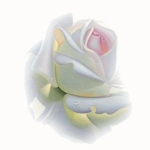 Meet your Posher, Lupe